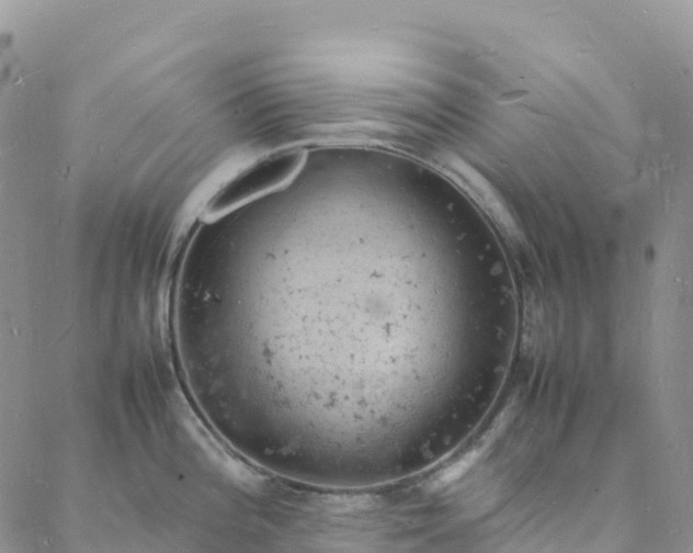 X0000088031196200705182017