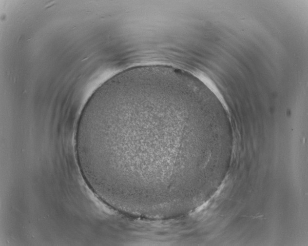 X0000088031197200705182017