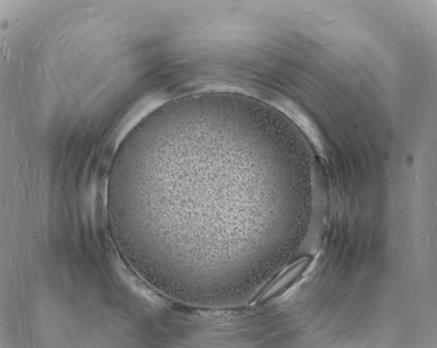 X0000088031198200705182017