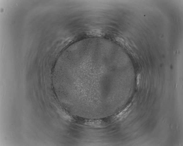 X0000088031201200705182017