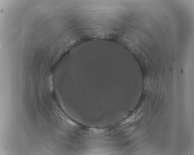 X0000088031202200705182017