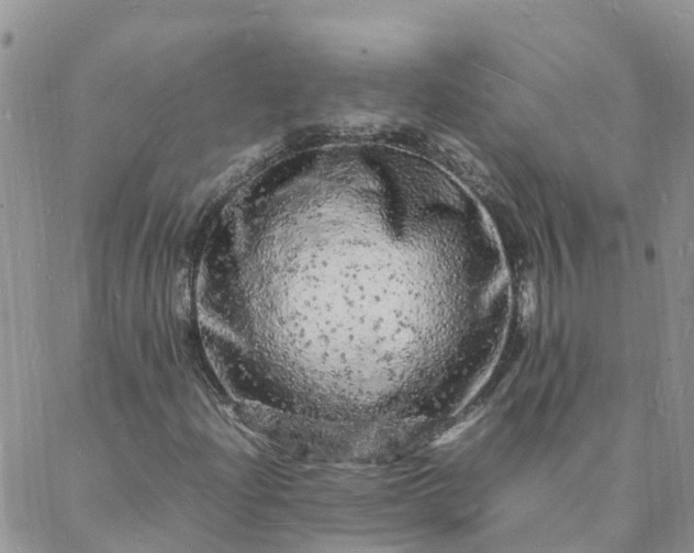 X0000088031204200705182017