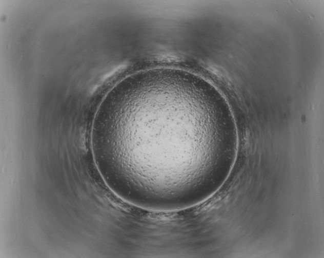 X0000088031205200705182017