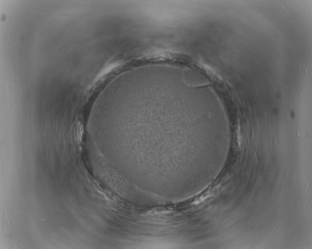 X0000088031206200705182017