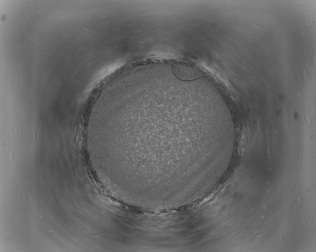 X0000088031207200705182017