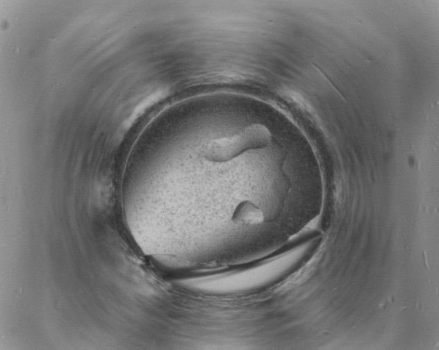 X0000088031210200705182017