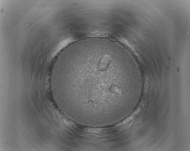 X0000088031211200705182017