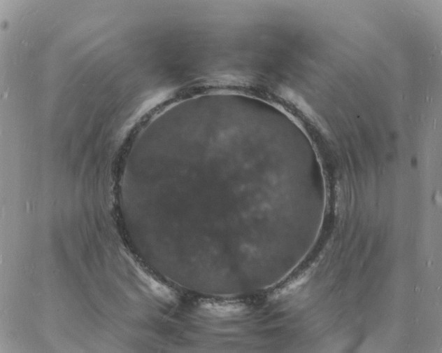 X0000088031213200705182017