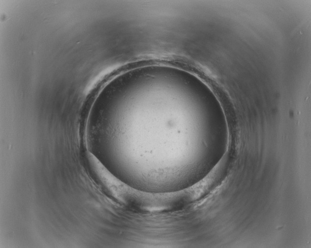 X0000088031214200705182017