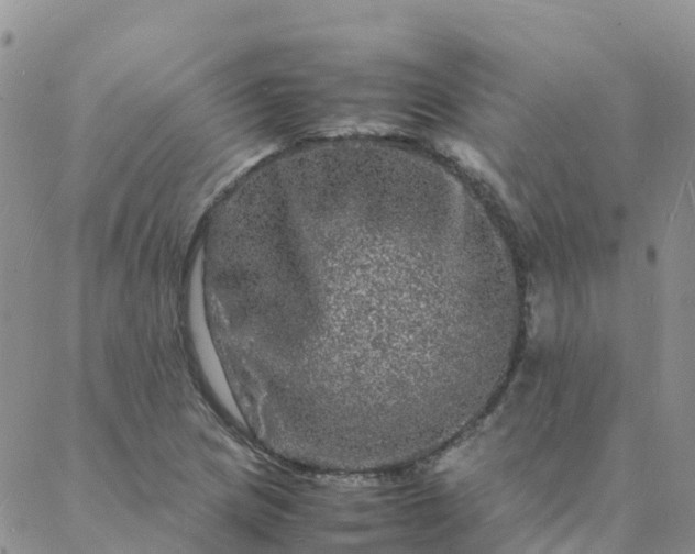 X0000088031217200705182017