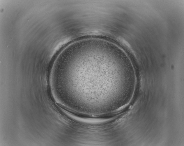 X0000088031218200705182017