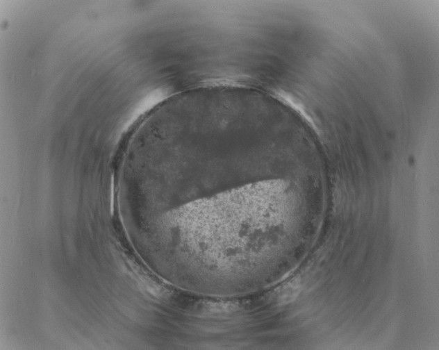 X0000088031219200705182017