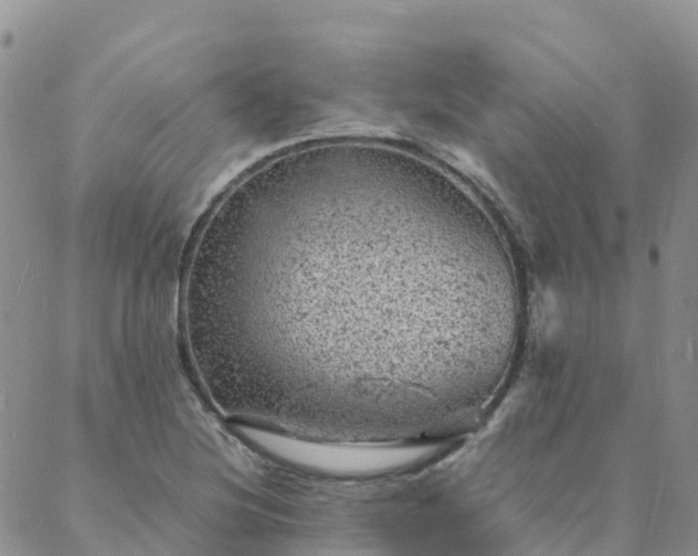 X0000088031220200705182017