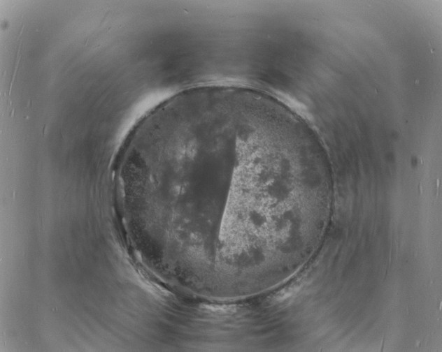 X0000088031223200705182017