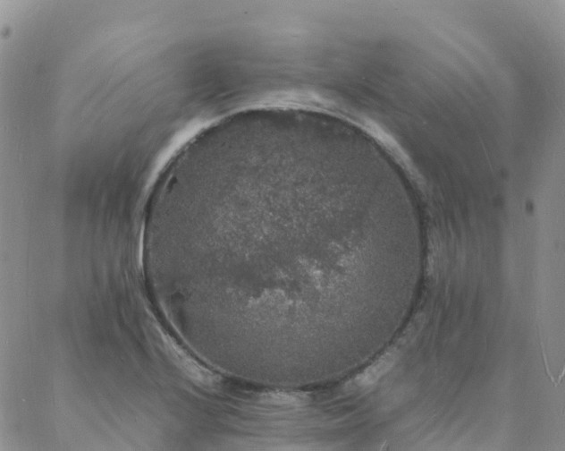 X0000088031224200705182017