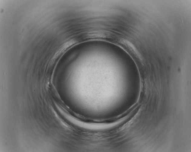 X0000088031225200705182017