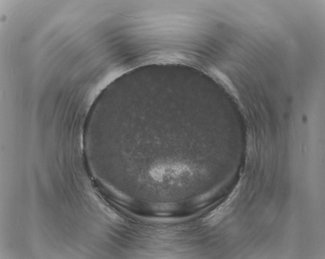 X0000088031226200705182017