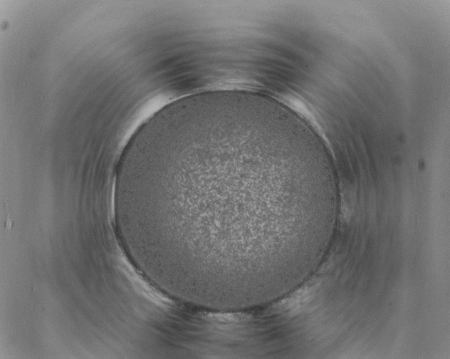 X0000088031227200705182017