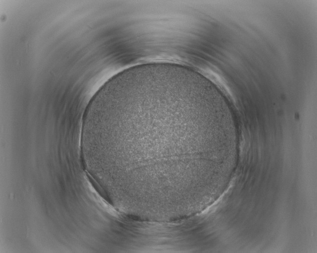 X0000088031228200705182017