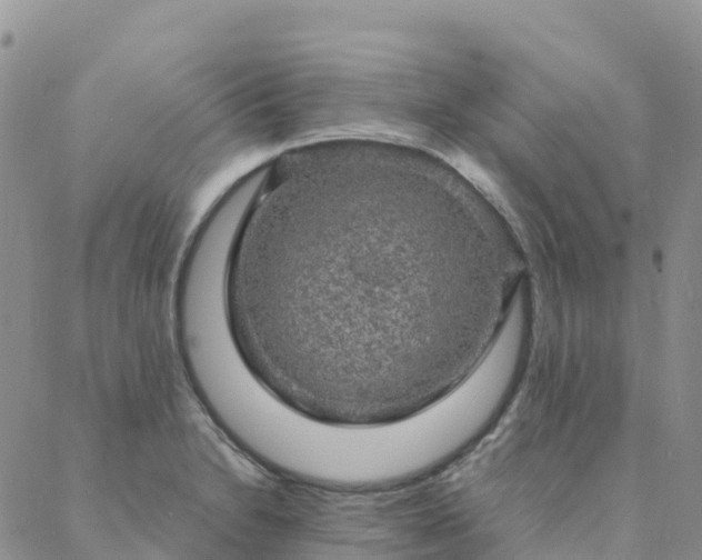 X0000088031230200705182017