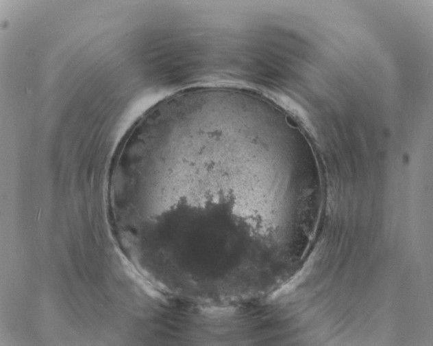 X0000088031231200705182017