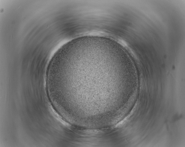 X0000088031232200705182017