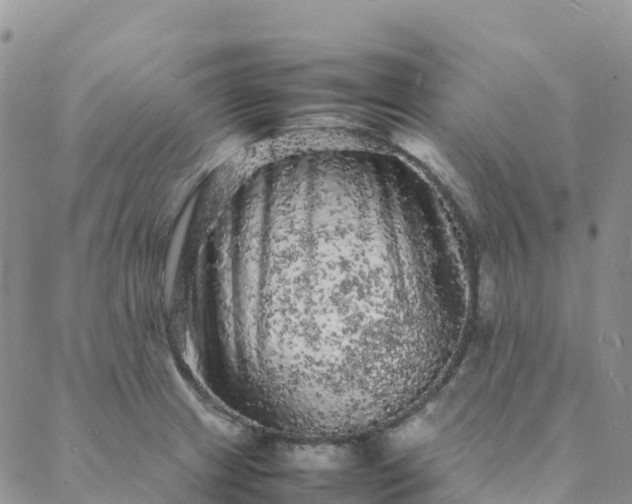 X0000088031233200705182017