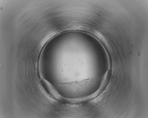 X0000088031234200705182017