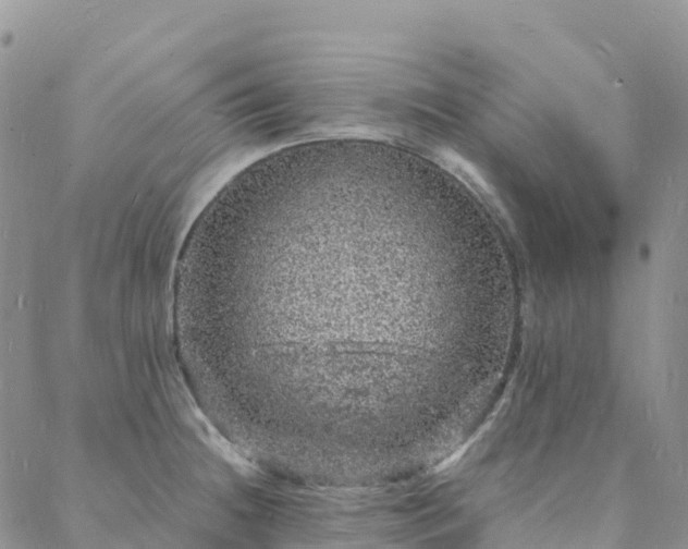 X0000088031236200705182017