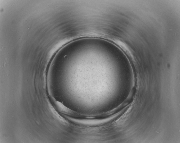 X0000088031238200705182017