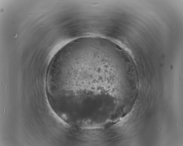 X0000088031239200705182017