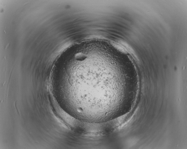 X0000088031241200705182017