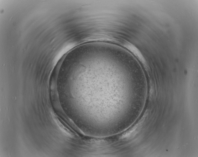 X0000088031242200705182017