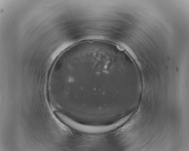 X0000088031245200705182017