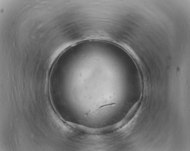 X0000088031246200705182017