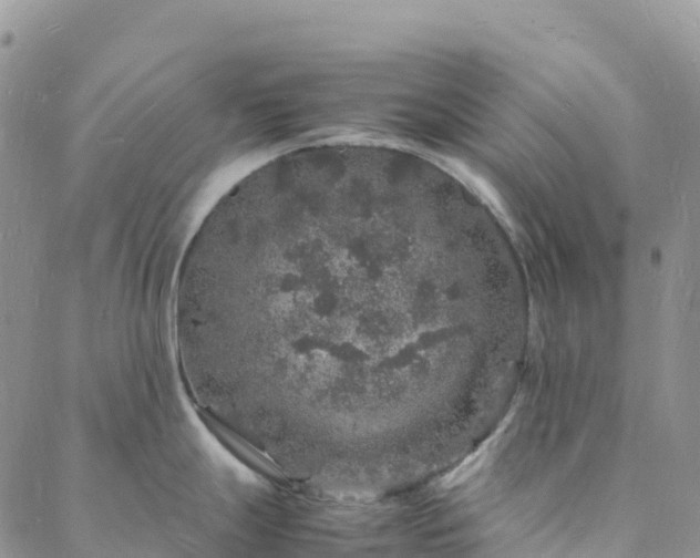 X0000088031247200705182017