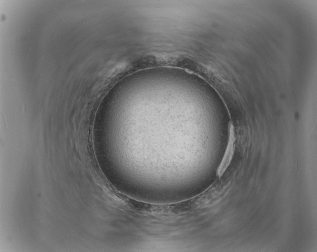 X0000088031249200705182017