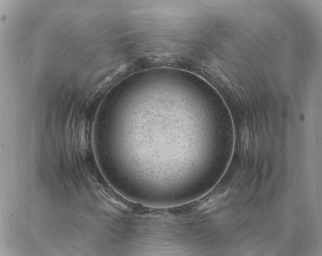 X0000088031250200705182017