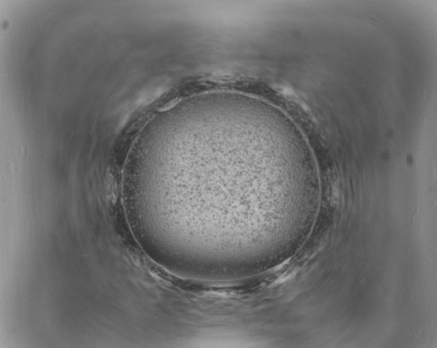 X0000088031253200705182017