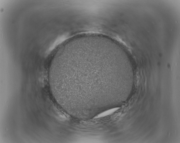 X0000088031255200705182017