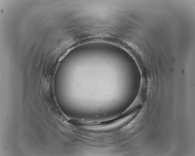 X0000088031257200705182017