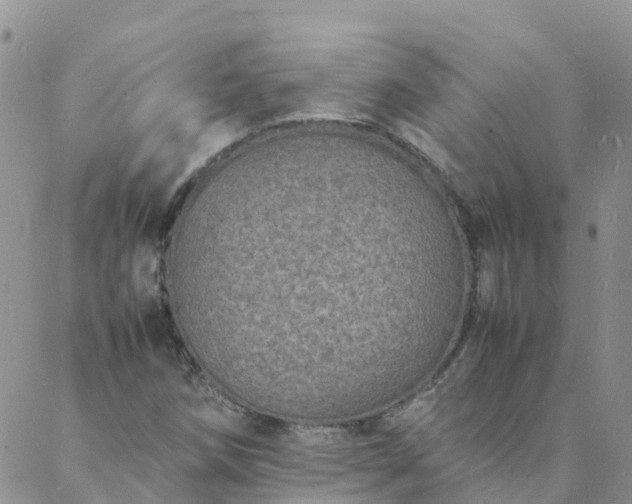 X0000088031258200705182016