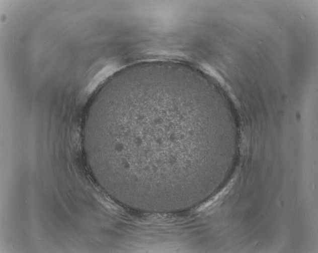 X0000088031259200705182016