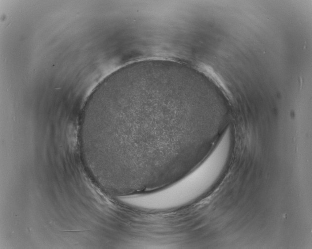 X0000088031260200705182016