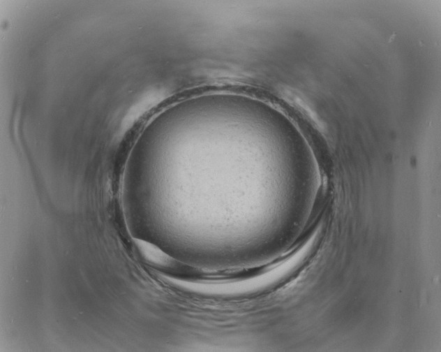 X0000088031261200705182016