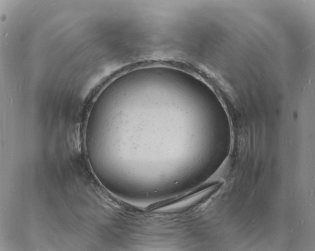 X0000088031262200705182016