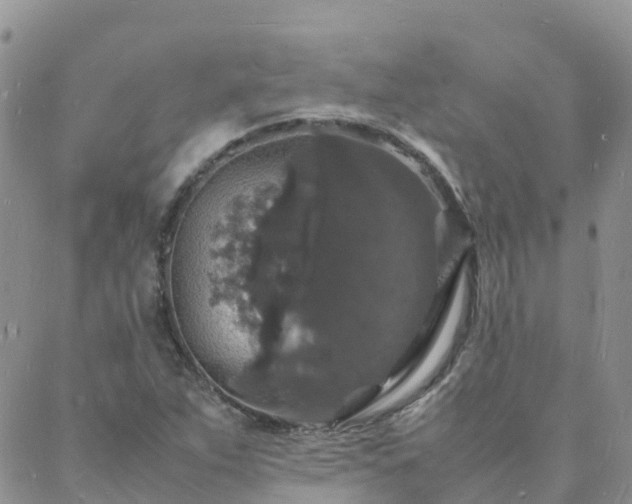 X0000088031263200705182016