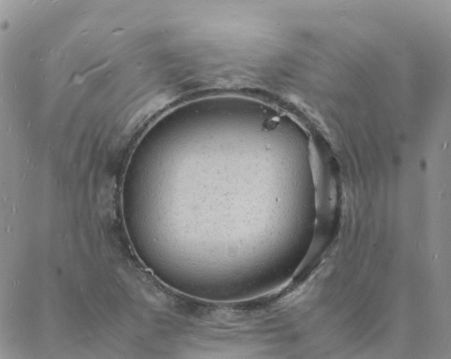 X0000088031265200705182016