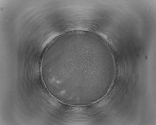 X0000088031266200705182016