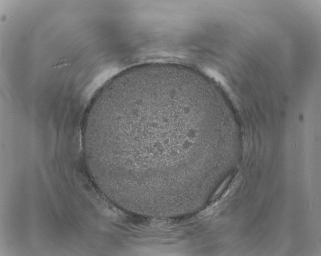 X0000088031267200705182016